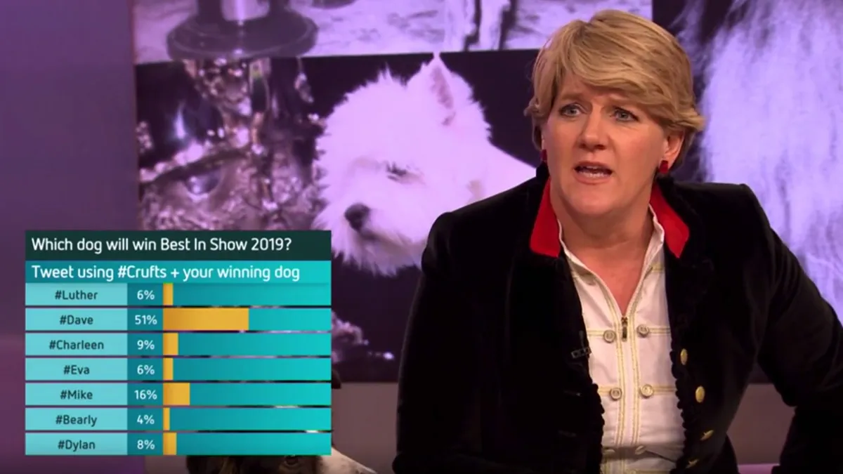 Crufts, Live Broadcast Audience Engagement, footage